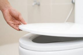 A surpreendente razão científica para sempre fechar a tampa do vaso sanitário