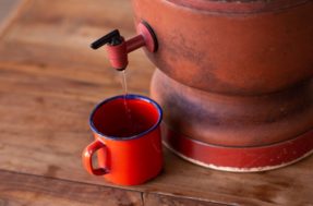 Este é o item ‘raiz’ que voltou a bombar nas casas dos brasileiros em 2025